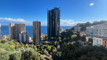 2 PIECES AVEC TERRASSE ET GARAGE 1